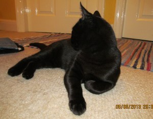 ???????????????????????????????