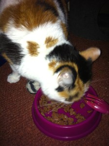 jak & jenni day six3