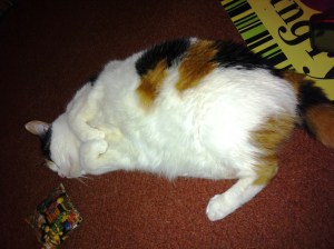 jen with aunty wizz's pillow2