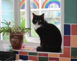 ???????????????????????????????