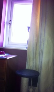 merl when he first arrived here