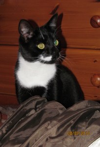 ???????????????????????????????