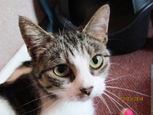 ???????????????????????????????