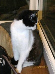 ???????????????????????????????