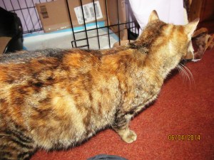 ???????????????????????????????