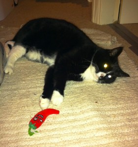 we managed to have some fun times