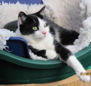 ???????????????????????????????