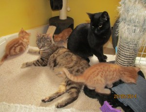 ???????????????????????????????