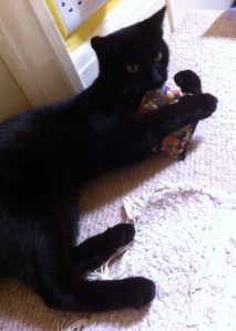 lyra & mowg breaking up and making up6