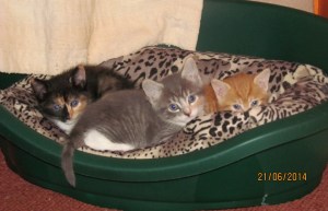 ???????????????????????????????