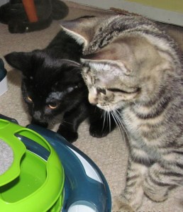 ???????????????????????????????