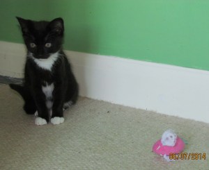 ???????????????????????????????