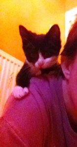 freddie and me doing selfies1