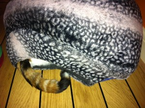 domino loves her new bed