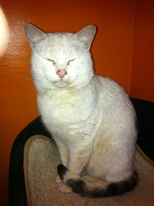 jack a little more settled2