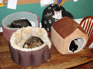 ???????????????????????????????