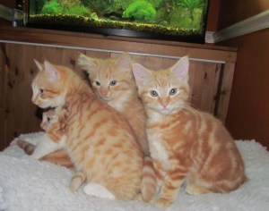 e team class of the yaer