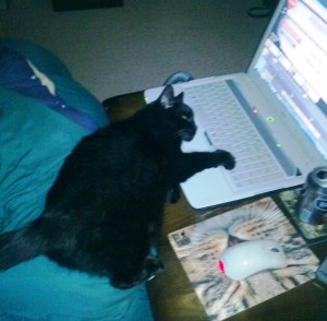 sooty lazing online1