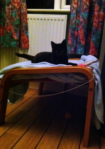 wispa out and playing at last3