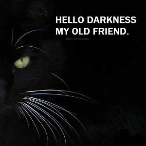 hello darkness my old friend