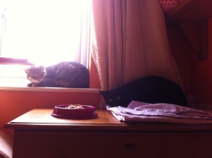 richmond 2 thursday1