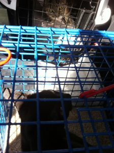 in the car .. good to go