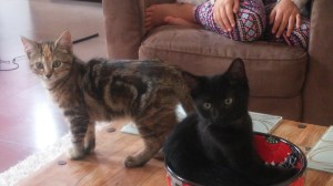 Xi & Xosé in new home