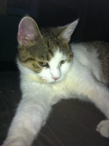 kranji-photo-shoot06