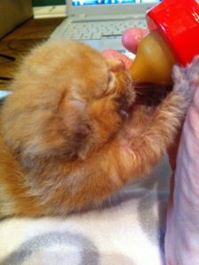 rufus-with-his-bottle2