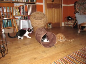 first attempt to play together