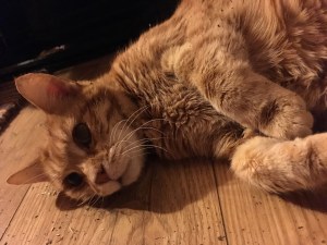 henderson-on-the-nip2