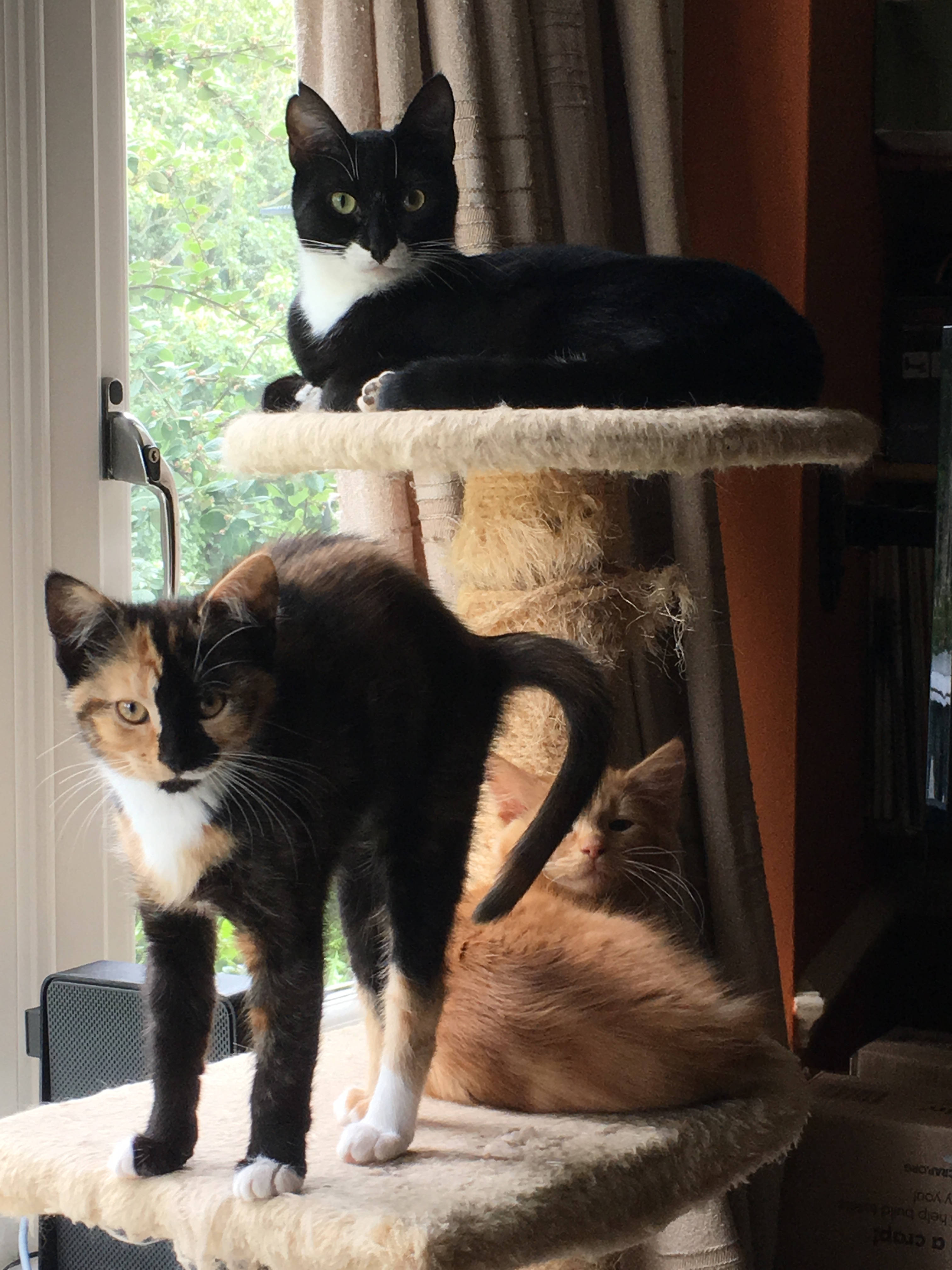 dasher with alice & arnold (1).jpg