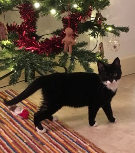 dasher xmas tree (5)