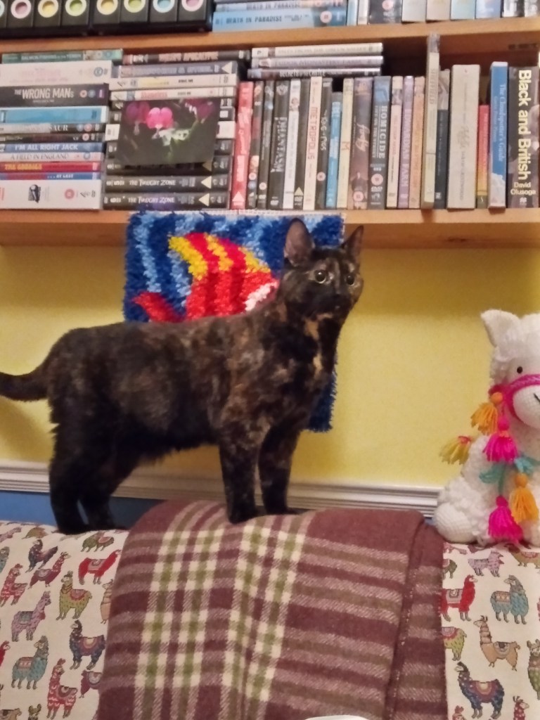 This image has an empty alt attribute; its file name is piper-blog-2.jpg